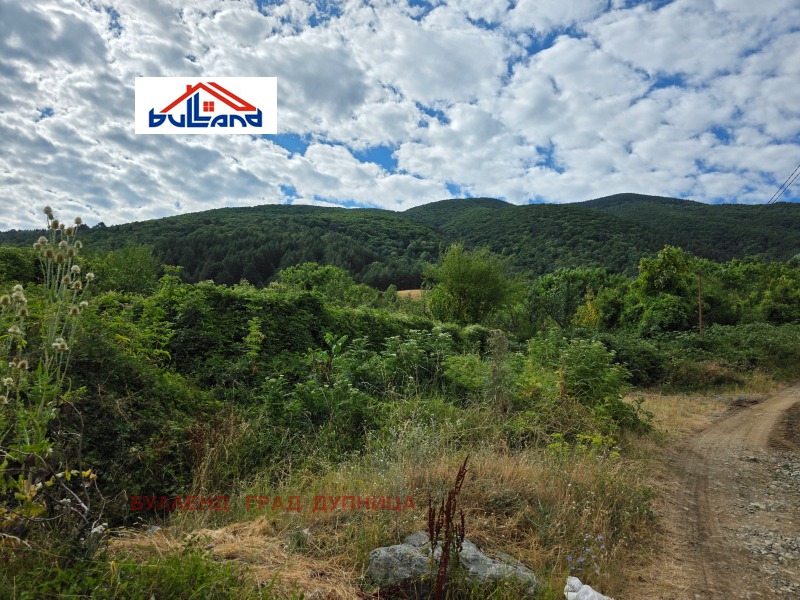 Zu verkaufen  Land region Kjustendil , Saparewa banja , 2 dka | 89208279