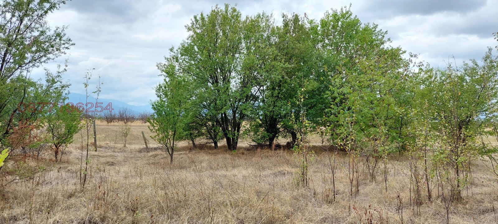 Продава ПАРЦЕЛ, с. Кочево, област Пловдив, снимка 5 - Парцели - 56067537