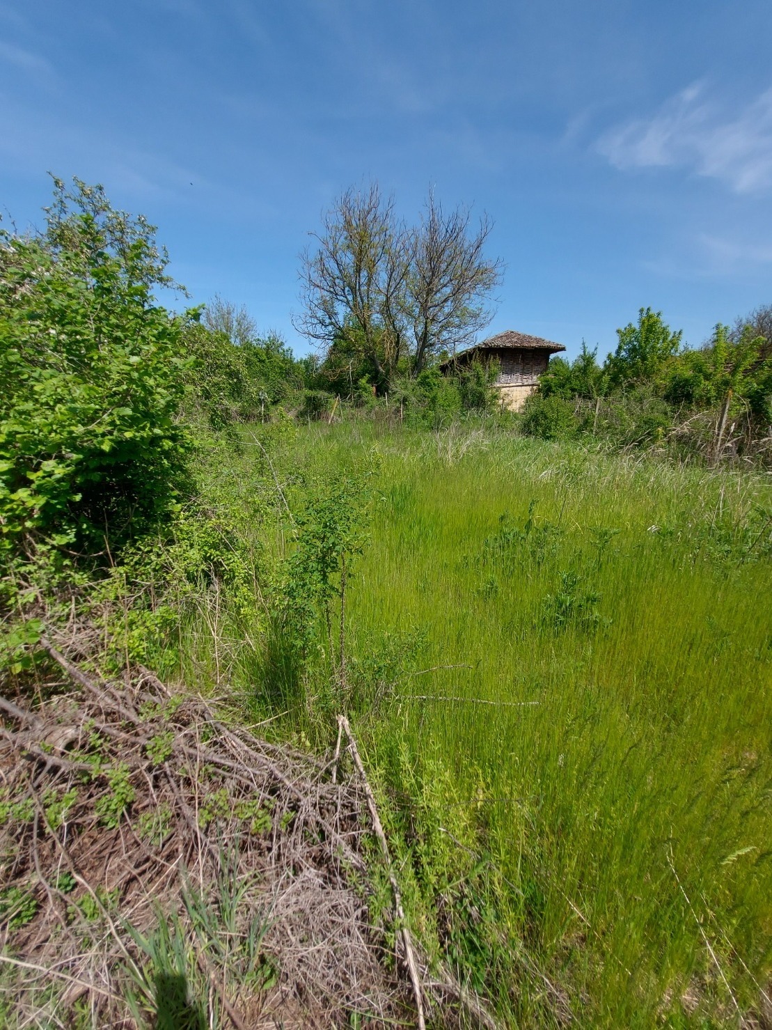 ������� ���� | Imot.bg � ����������� 14
