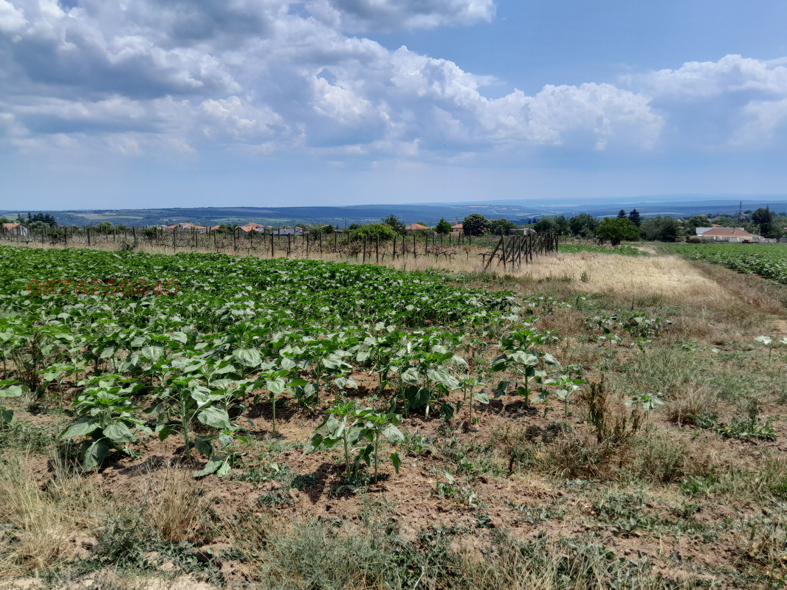 ������� ������ | Imot.bg � ����������� 1