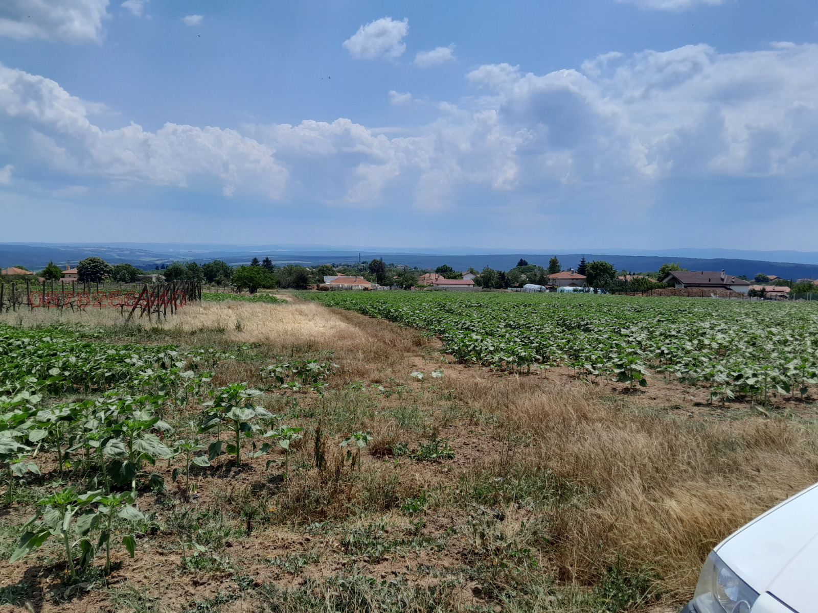 ������� ������ | Imot.bg � ����������� 2