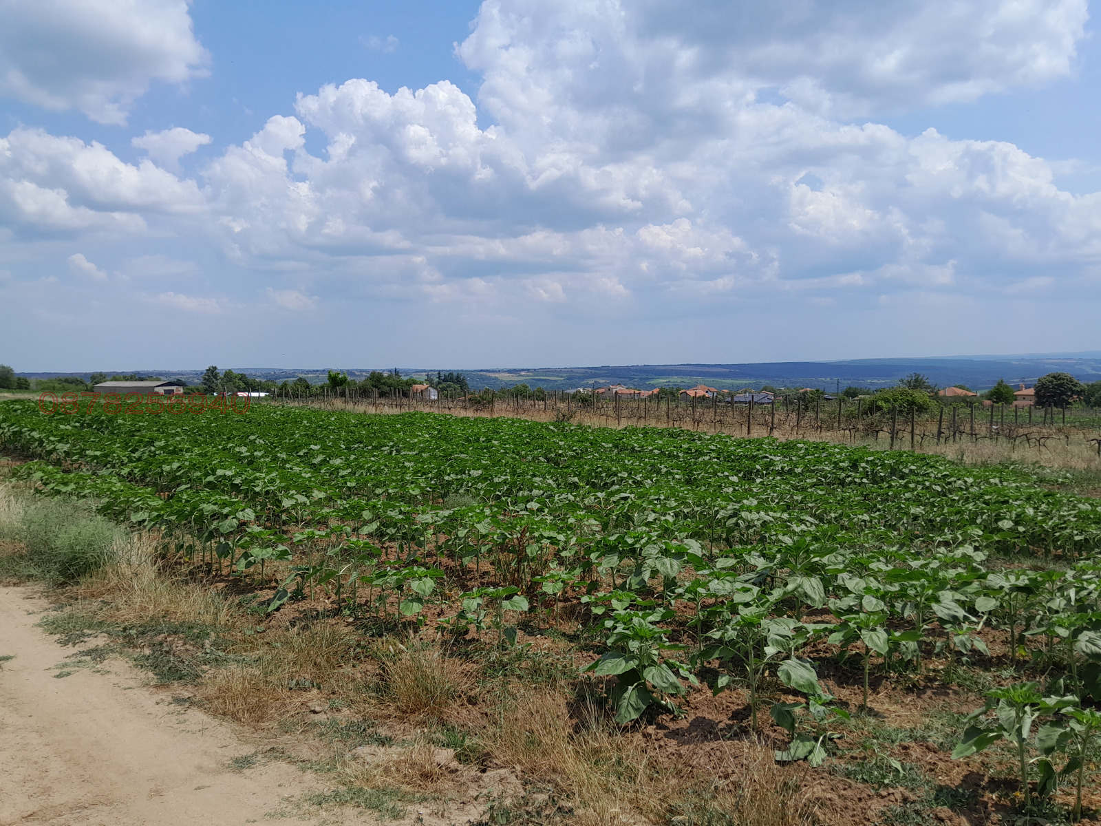 ������� ������ | Imot.bg � ����������� 3