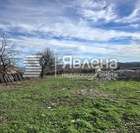 ����� ������� ������,�. ������� ������������, ������ �����