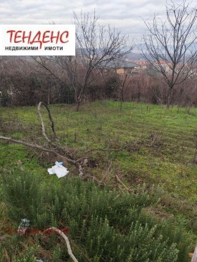 ������� ������ | Imot.bg � ����� ������ 7