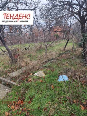 ������ ������� ������