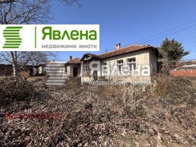 ����� ������� ������,���� �����, �������