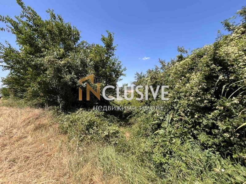 For Sale  Plot Varna , Letishte , 6000 sq.m | 28735485