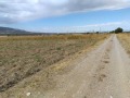 Продава  Земеделска земя област Пловдив , гр. Асеновград , 9.2 дка | 98241278 - изображение [2]