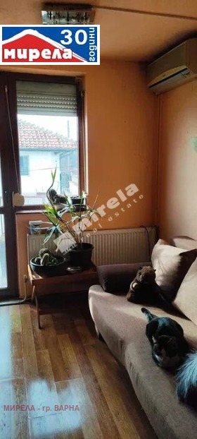 ������� ���� | Imot.bg � ����� ������ 8