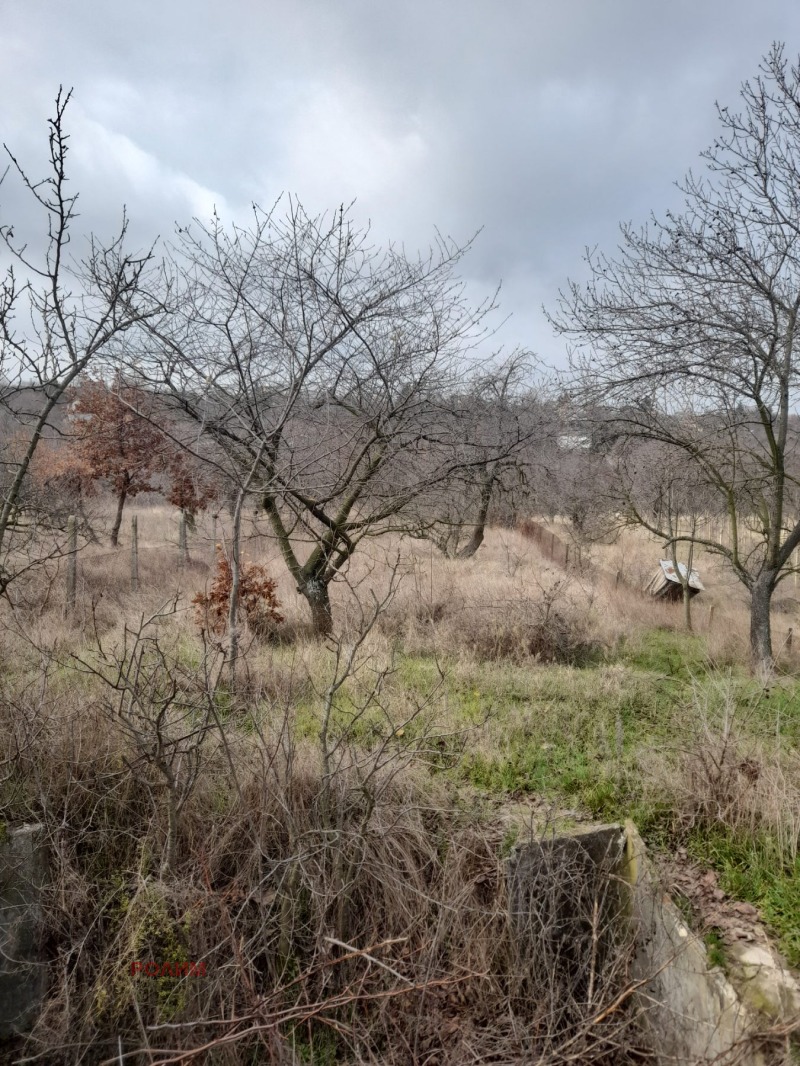 Продава КЪЩА, с. Дамяново, област Габрово, снимка 15 - Къщи - 51502807