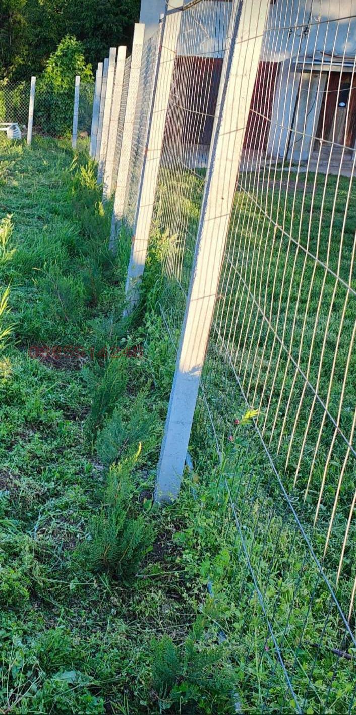 À venda  Trama Região Pernik , Staro selo , 620 m² | 42503248 - imagem [3]