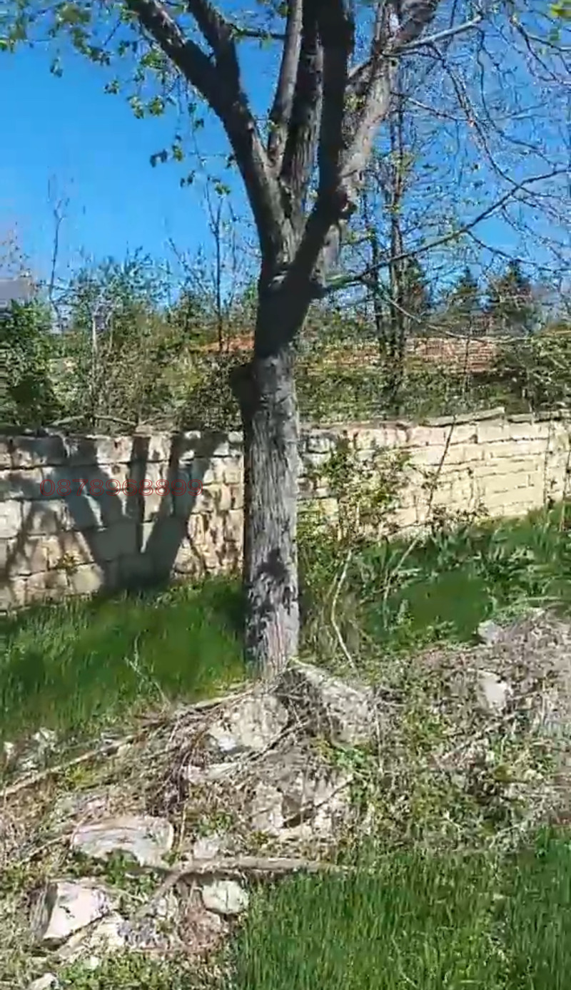Til salgs  Plott region Varna , Nevsja , 1000 kvm | 77764700 - bilde [3]