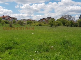 Продажба на имоти в гр. Драгоман, област София - изображение 2 