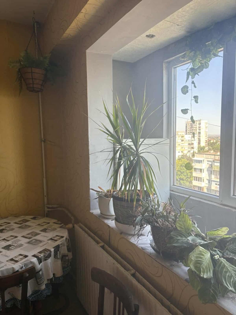 For Sale  1 bedroom Pleven , Storgoziya , 62 sq.m | 44164066 - image [7]