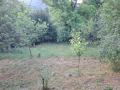 Продава КЪЩА, гр. Земен, област Перник, снимка 15