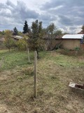 Продава КЪЩА, област Кюстендил, с. Нови чифлик • 109000 лв. / 55730.82 € • 87886106 8