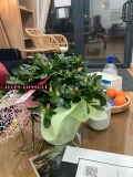 Продава  Магазин град София , Илиянци , 40 кв.м | 10497121 - изображение [6]