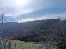 ������� ���� | Imot.bg � ����� ������ 17