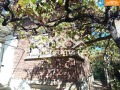 Продава КЪЩА, област Стара Загора, гр. Казанлък • 230000 лв. • 53199260 — Holmes.bg