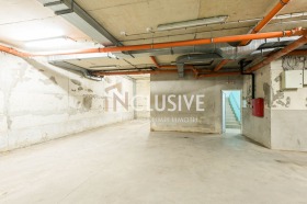 ����� ������� ����������,���� �����, �������