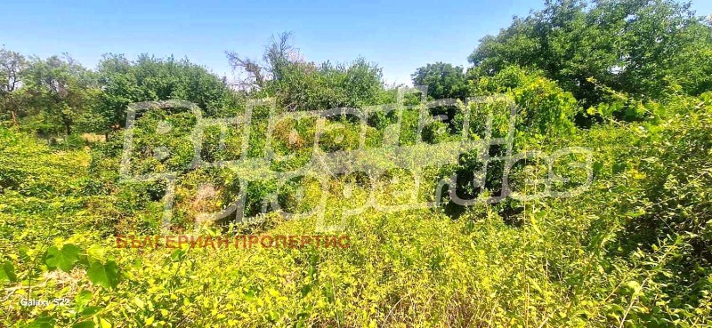 Продается  Сюжет область Стара Загора , Малко Тръново , 650 кв.м | 91975530 - изображение [2]