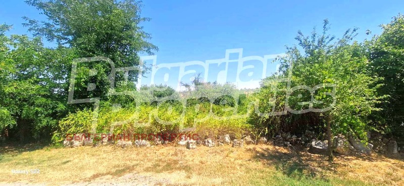 Продается  Сюжет область Стара Загора , Малко Тръново , 650 кв.м | 91975530 - изображение [4]