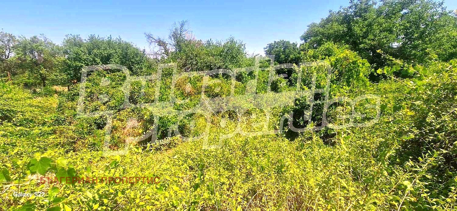 Продава ПАРЦЕЛ, с. Малко Тръново, област Стара Загора, снимка 2 - Парцели - 51335764