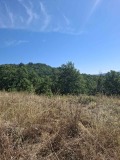 Продава ПАРЦЕЛ, с. Голяма Желязна, област Ловеч, снимка 14