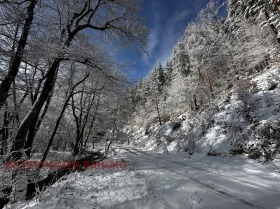 Plot Razlog, region Blagoevgrad 12