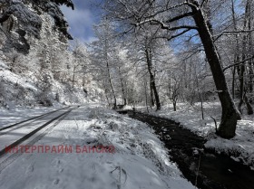 Komplo Razlog, bölge Blagoevgrad 8