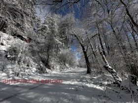 Komplo Razlog, bölge Blagoevgrad 11