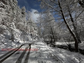 Plot Razlog, region Blagoevgrad 9