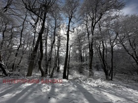 Verhaallijn Razlog, regio Blagoëvgrad 16