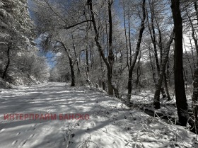 Plot Razlog, region Blagoevgrad 3