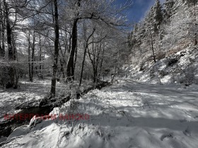 Plot Razlog, region Blagoevgrad 13