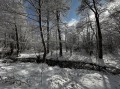 Продава ПАРЦЕЛ, област Благоевград, гр. Разлог • 280000 € / 547632.40 лв. • 78011011 10