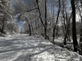 Продава ПАРЦЕЛ, област Благоевград, гр. Разлог • 280000 € / 547632.40 лв. • 78011011 3
