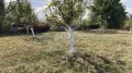 Продава КЪЩА, област Пловдив, с. Ахматово • 32000 € • 89774640 — Holmes.bg