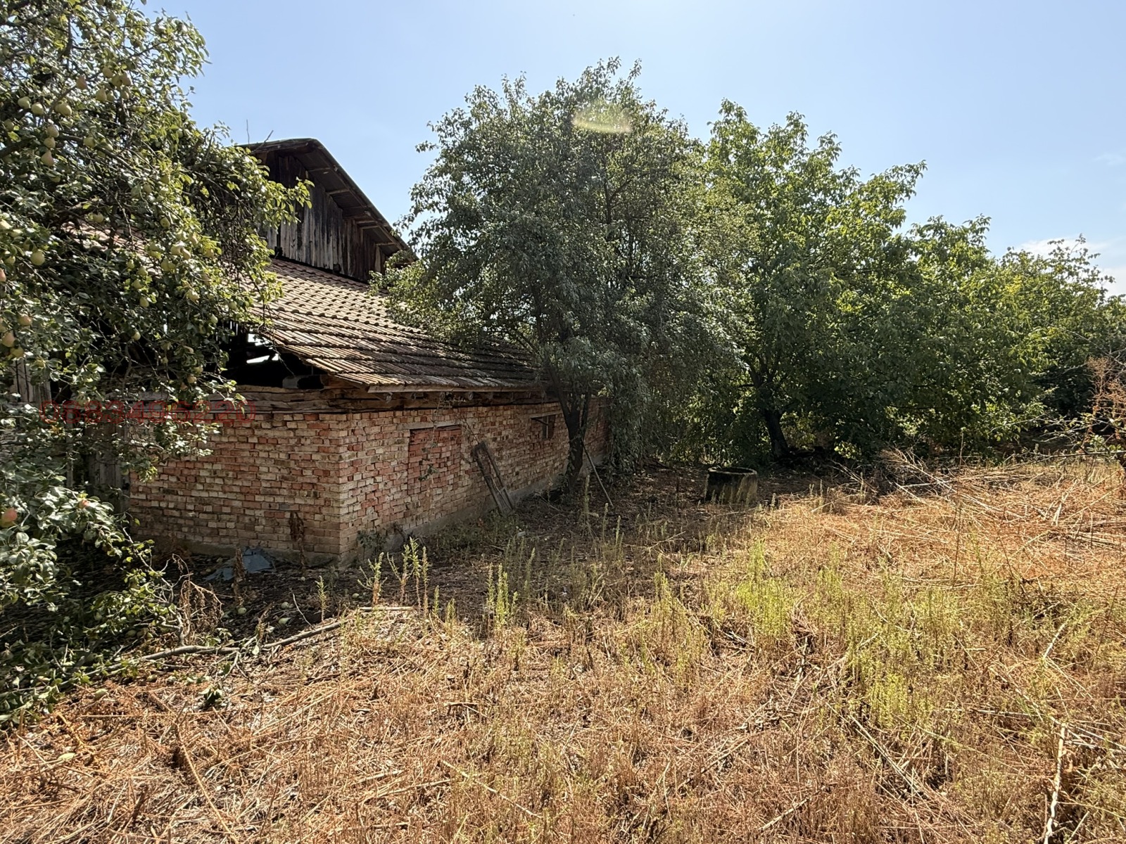 ������� ���� | Imot.bg � ����������� 12