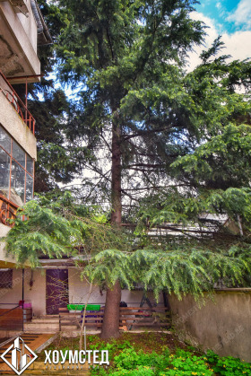 ������� 2-����� | Imot.bg � ����� ������ 2