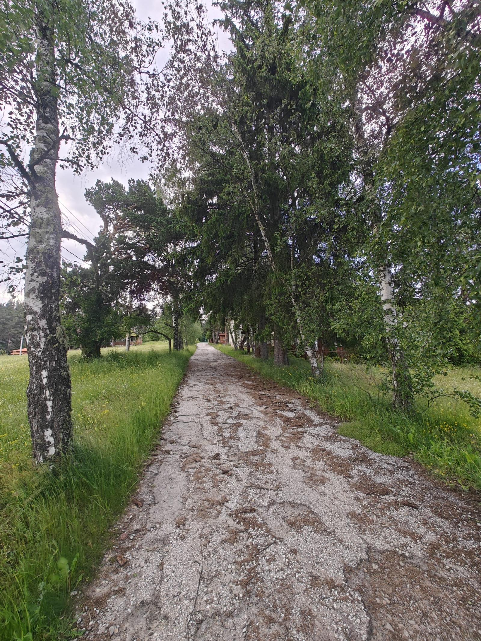 Продава ПАРЦЕЛ, с. Юндола, област Пазарджик, снимка 9 - Парцели - 55200935
