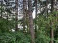 Продава ПАРЦЕЛ, гр. София, м-т яз. Искър, снимка 2