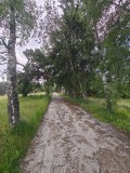 Продава ПАРЦЕЛ, с. Юндола, област Пазарджик, снимка 9