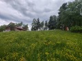 Продава ПАРЦЕЛ, с. Юндола, област Пазарджик, снимка 11
