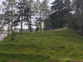 Продава ПАРЦЕЛ, с. Юндола, област Пазарджик, снимка 12