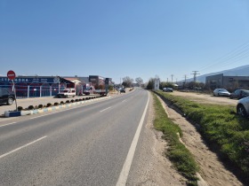 ����� ������� ������,��. ������, ������ �����������