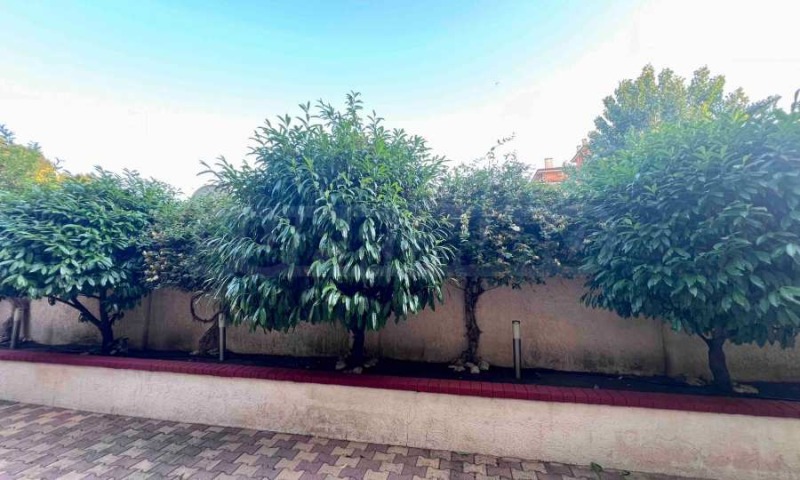 À vendre  Studio région Bourgas , k.k. Slantchev bryag , 47 m² | 16915701 - image [17]