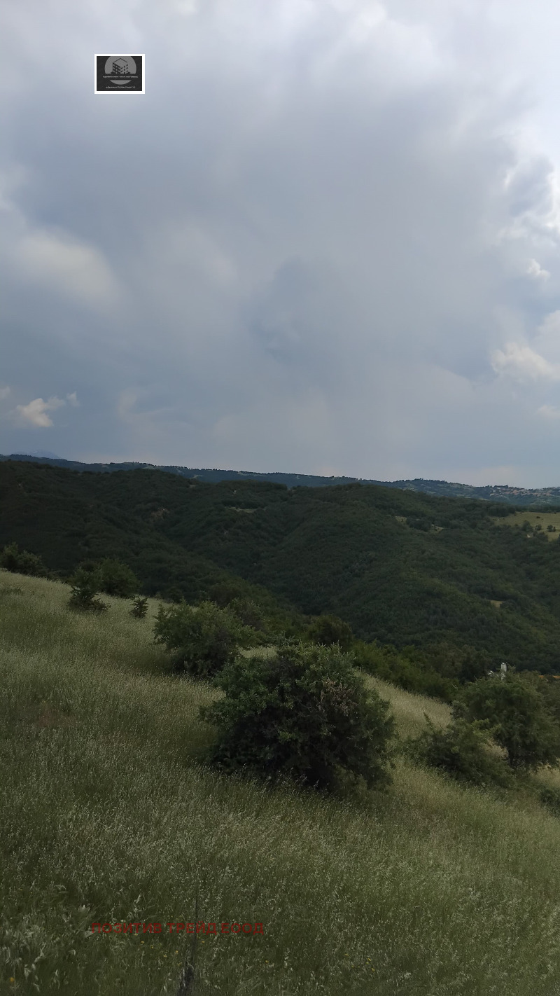 Na prodej  Spiknutí Blagoevgrad , Elenovo 2 , 3150 m2 | 43025281
