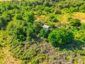 Продава БИЗНЕС ИМОТ, с. Крушовица, област Плевен, снимка 5