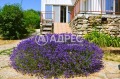 Продава КЪЩА, област Варна, с. Аврен • 199900 € • 38655593 — Holmes.bg